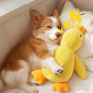 Factory Cute 3 Size Pet Dog Plush Squeaky Soft Yellow Duck Toy Squeaky Eco-Friendly Dog Chew Toy Duck Shape Pet Chew Toy for Dog