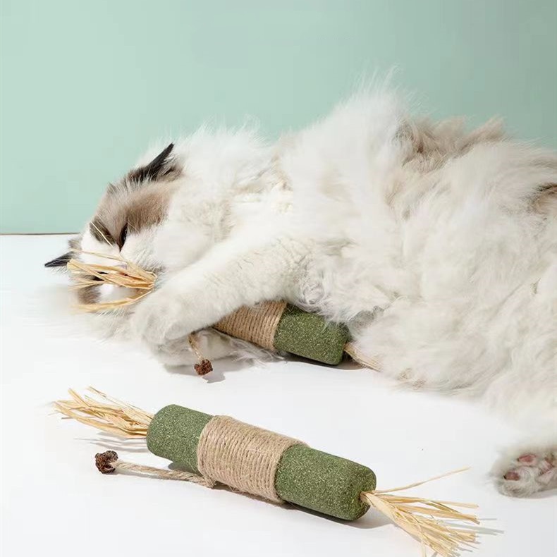 Super-sized Big Mac Cat Silvervine with Raffia Grass Gall Fruit and Feather Cat Teaser Molar Catnip Toy Cat Grass Stick